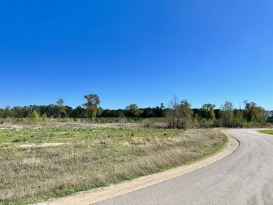 0 Circle Lake Dr, Pinehurst, TX 77362 - photo 5