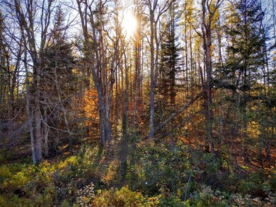 00 Profile Rd, Franconia, NH 03580 - photo 5