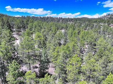 456 Lo Meadow Ln unit 13, Bailey, CO 80421 - photo 2