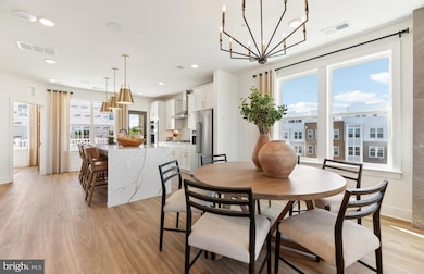 Belmont Overlook - 2-Level Condos, Ashburn, VA 20147 - photo 3