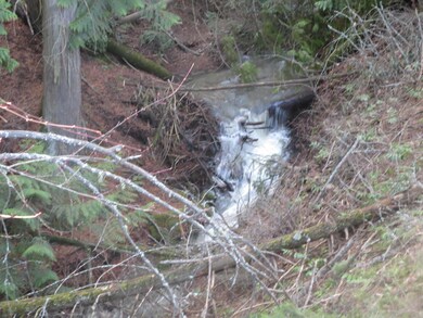 creek front