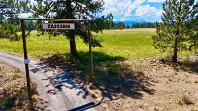 67500 Three Creeks Rd, Sisters, OR 97759 - photo 4