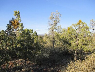 Photo 05