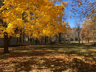 view beside cabin
