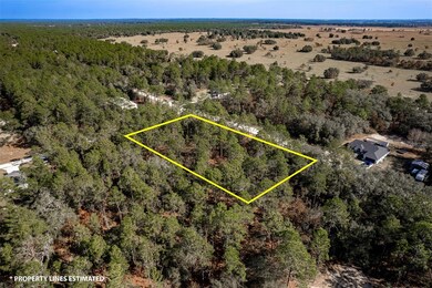 00 SW 75th St, Dunnellon, FL 34431 - photo 4