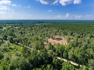 Drone / aerial view of a heavily wooded area