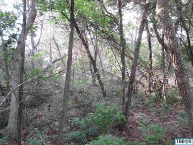 5313 Reef Ln, Temple, TX 76502 - photo 6