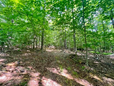 109 Jenness Pond Rd, Pittsfield, NH 03263 - photo 6