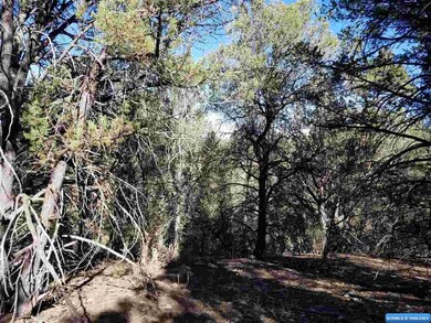 56 Vesuvius Way, Silver City, NM 88061 - photo 5