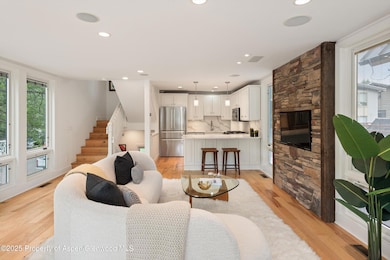 111 S 6th St unit 1, Aspen, CO 81611 - photo 3