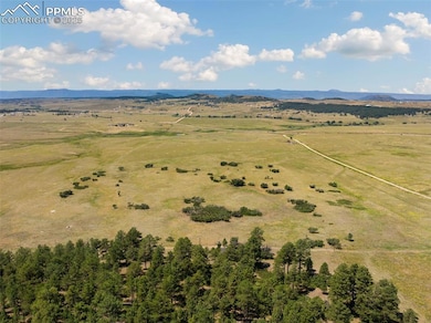 14252 S Highway 83, Larkspur, CO 80118 - photo 3