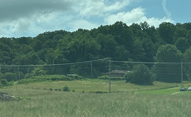 28226 Hillman Hwy, Meadowview, VA 24361 - photo 2