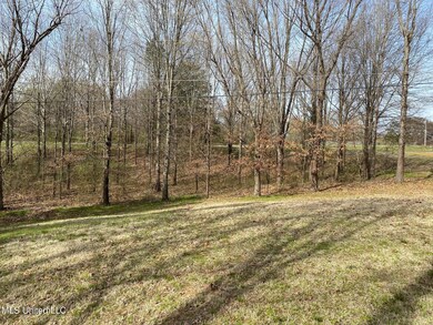 5090 Belmont Rd, Hernando, MS 38632 - photo 7