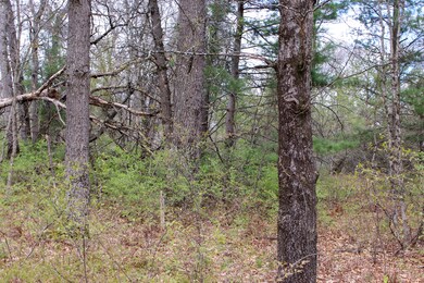 0 0 M-37 unit 21017059, Bitely, MI 49309 - photo 6