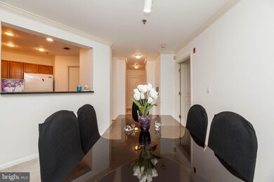 5573 Seminary Rd unit 209, Baileys Crossroads, VA 22041 - photo 3