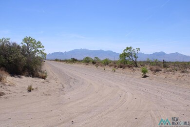 0 Rivera Rd SW unit 20222836, Deming, NM 88030 - photo 6