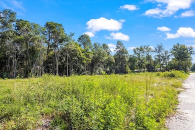 000 Walker Ave, New Ellenton, SC 29809 - photo 3