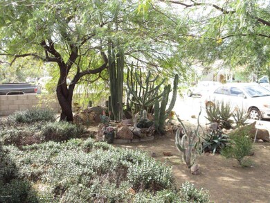 FRONT YARD LANDSCAPE