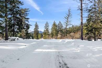 0 NVLot 2 Nelson View Way, Cle Elum, WA 98922 - photo 4