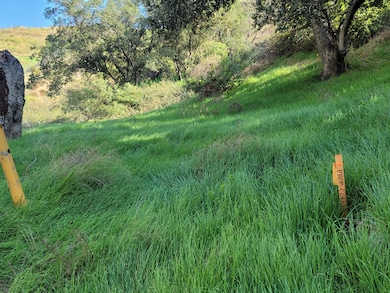 0 North Trail unit 25005234, Sylmar, CA 91342 - photo 2