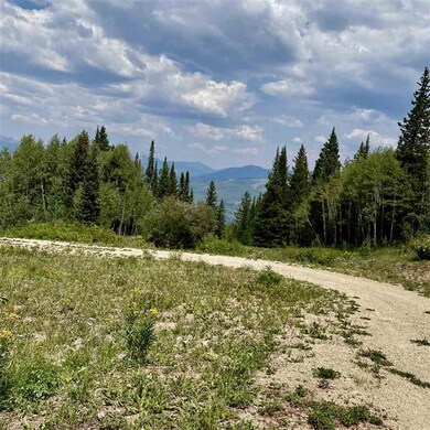1008 Red Mountain Ranch Upper Loop, Crested Butte, CO 81224 - photo 3