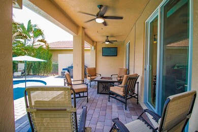 BackYard (6)