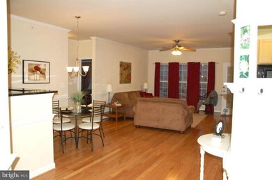 42432 Hollyhock Terrace unit 203, Ashburn, VA 20148 - photo 5