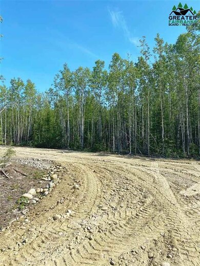 L12 BB Gini's Way, Delta Junction, AK 99737 - photo 2