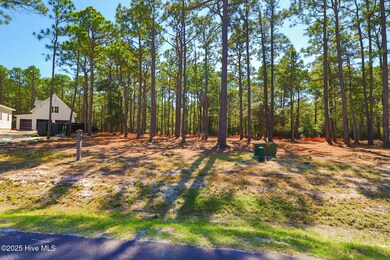 406 Summer Duck, Beaufort, NC 28516 - photo 5