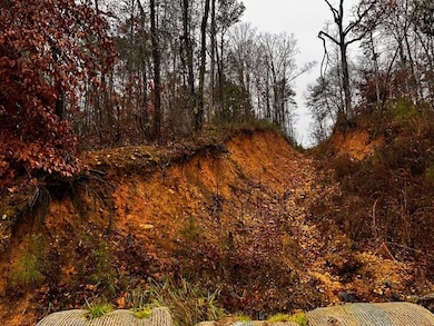 000 Talona Rd, Ellijay, GA 30540 - photo 2