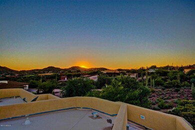 Cactus View  (72)