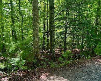 0 Hillbilly Holler unit 7429512, Blue Ridge, GA 30513 - photo 3
