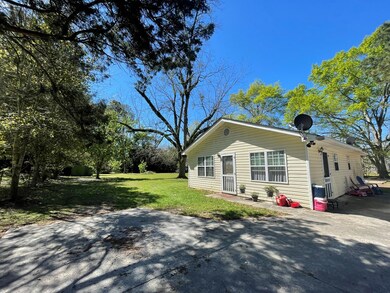 187 Lester Rd NE, Baconton, GA 31716 - photo 3