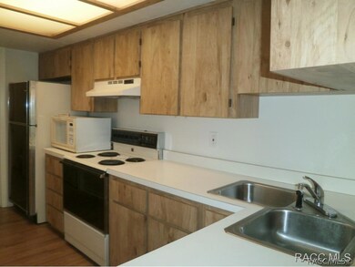 771 E Hartford St, Hernando, FL 34442 - photo 3