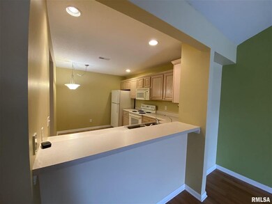 4541 N Thornhill Dr unit 203, Peoria, IL 61615 - photo 3