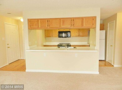 2802 Clear Shot Dr unit 7, Silver Spring, MD 20906 - photo 7