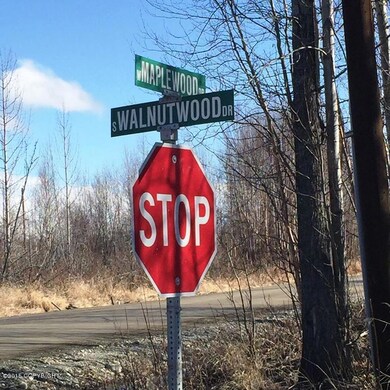 2669 S Walnut Wood Dr, Big Lake, AK 99652 - photo 5