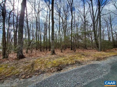 17 Butternut Ln, Roseland, VA 22967 - photo 2