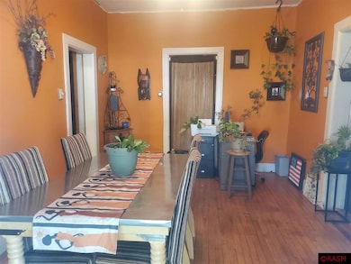 121 3rd Ave NE, Sleepy Eye, MN 56085 - photo 4