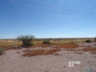 9740 Abeto Rd SE, Deming, NM 88030 - photo 7