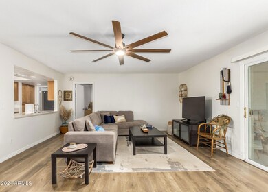 903 W Shawnee Dr, Chandler, AZ 85225 - photo 4