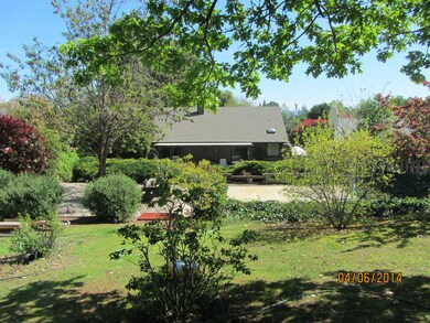 Back of home in Springtime!