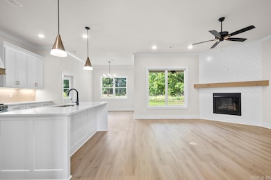 3901 Spencer Crossing Dr, Benton, AR 72019 - photo 7