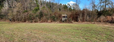 TBD-Tract 1 Gilead Rd, Clinton, LA 70722 - photo 4