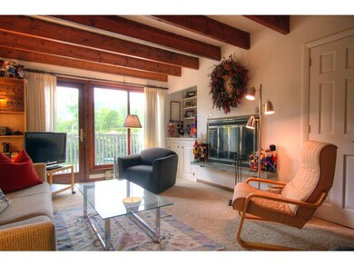 6 Red Hickory unit 6, Winhall, VT 05340 - photo 5