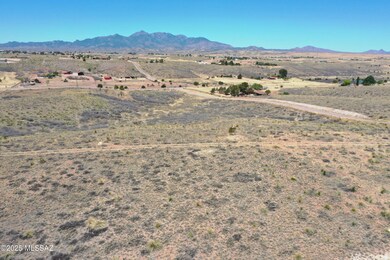 DJI_0278