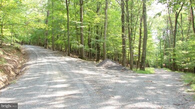 0 Tuscarora Trail unit 1000321760, Berkeley Springs, WV 25411 - photo 7