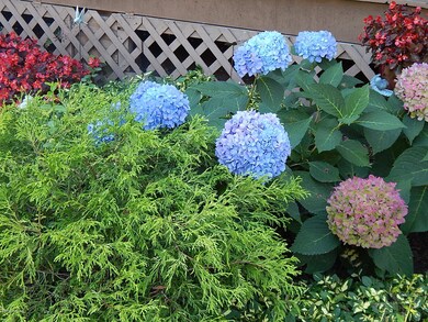 942 Chippewa Rd, Muncy, PA 17756 - photo 6