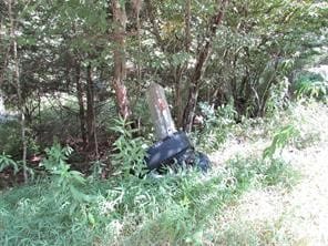 Lot 00 Sackett Creek Rd, Nichols, NY 13812 - photo 6