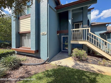 7540 St Andrews Blvd, Weeki Wachee, FL 34613 - photo 6